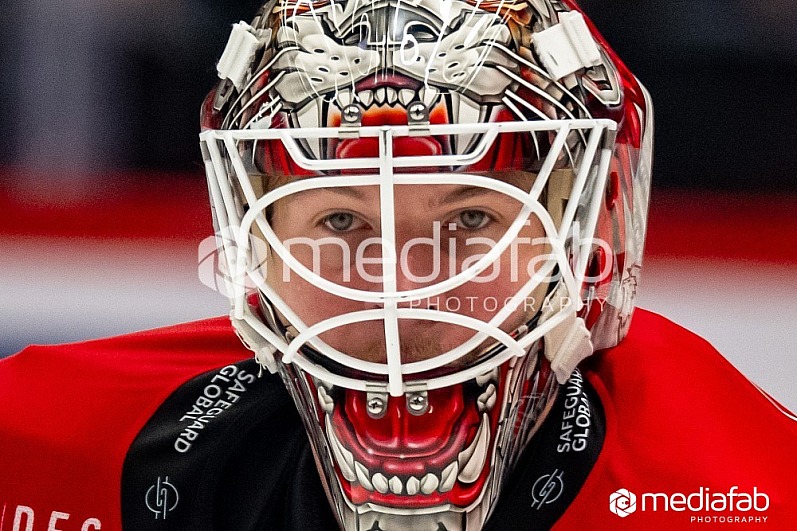 26.11.2025 - Lausanne HC - SCL Tigers